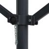 Free Standing Awning 236.2"x118.1" Anthracite